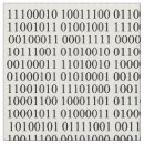 Pesquisar por código binário Software