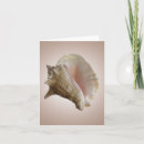 Pesquisar por escudos do mar cartoes Conch