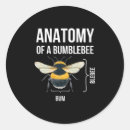 Pesquisar por anatomia adesivos Engraçado