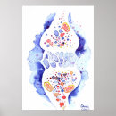 Pesquisar por sinapses pôsteres pósteres Nervo