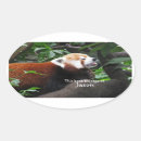 Pesquisar por urso panda engraçado materiais festa Bonito