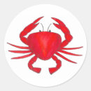 Pesquisar por crabby adesivos Marisco