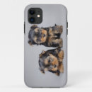 Pesquisar por yorkie iphone capas Cãozinho