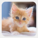 Pesquisar por olhos azuis adesivos Interior