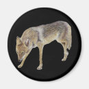 Pesquisar por predador imas Animal