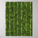 Pesquisar por bambu verde pôsteres pósteres Floral