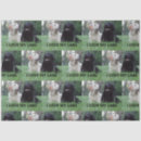 Pesquisar por i love Cachorrinho