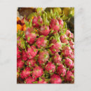 Pesquisar por fruit cartoes postais Travel