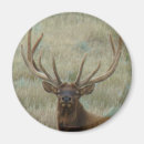 Pesquisar por em com nos antlers imas Para todos