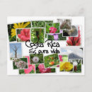 Pesquisar por áfrica cartoes postais Tropicais