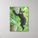 Pesquisar por cubo impressão de canvas Animais selvagens