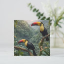 Pesquisar por tucano convites Aves