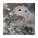 Pesquisar por redondos azulejos Flores