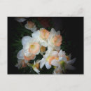 Pesquisar por orvalho cartoes postais Manhã