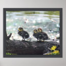 Pesquisar por kids animal outros Natureza