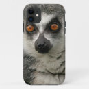 Pesquisar por lemur capas Animais