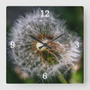 Pesquisar por neutro relogios de parede Natureza