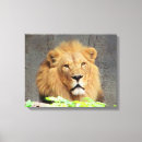 Pesquisar por rei leão impressão de canvas Africano