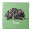 Pesquisar por ilustração azulejos Qualquer pessoa