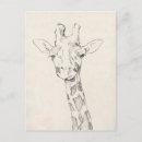 Pesquisar por portrait cartoes postais Animal