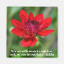 Pesquisar por buddha imas Flor