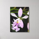 Pesquisar por orquídea roxa impressão de canvas Fotos da flor