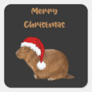 Pesquisar por capybara adesivos Captura