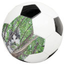 Pesquisar por animal estimação bola futebol Gatinho