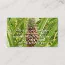 Pesquisar por fruta exótica cartao de visita Abacaxi