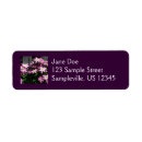 Pesquisar por clematis roxo Videira