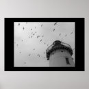 Pesquisar por preto e branco da gaivota artes pósteres Céu