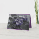 Pesquisar por violetas africanas cartoes Avó