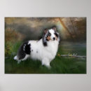 Pesquisar por sheltie pôsteres pósteres Animais