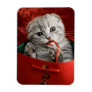 Pesquisar por bolso de imas Animal