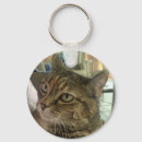 Pesquisar por diferentes chaveiros Gato