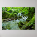 Pesquisar por harmônica pôsteres pósteres Vida