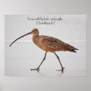Pesquisar por bird pósteres Natureza