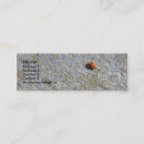 Pesquisar por joaninhas cartao de visita Natureza