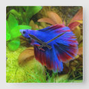 Pesquisar por tanque você muito relogios de parede Peixe