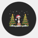Pesquisar por whippet adesivos Feliz natal