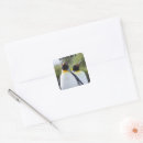 Pesquisar por pinguim de rei Natureza