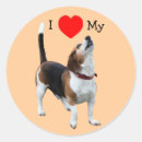 Pesquisar por eu amo meu cão adesivos Para crianças