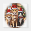 Pesquisar por gatinho imanes Humor