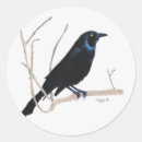 Pesquisar por blackbird adesivos Corvo
