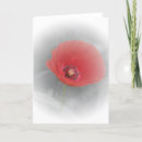 Pesquisar por floral photography Sympathy