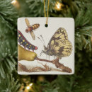Pesquisar por insetos ornamentos Natureza