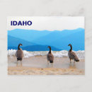 Pesquisar por acesso cartoes postais Ponto de acesso