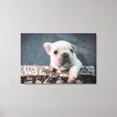 Pesquisar por buldogue francês impressão de canvas Animal