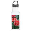 Pesquisar por jardinagem garrafa agua Floral