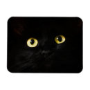 Pesquisar por olhos amarelos imas Gato preto